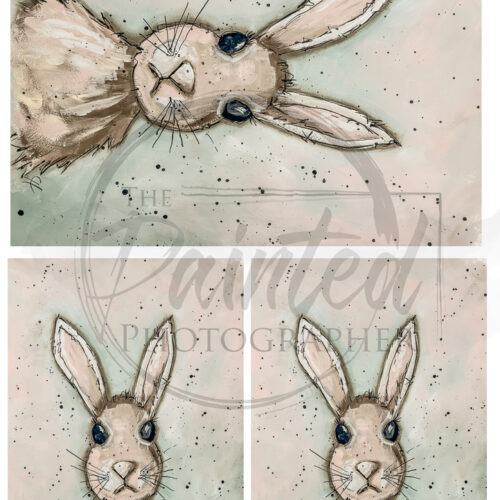 Harry the Hare, Multiple - Connie's Rice Paper