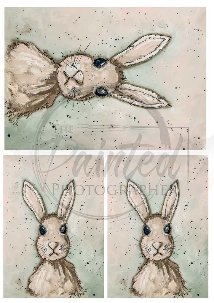 Harry the Hare, Multiple - Connie's Rice Paper