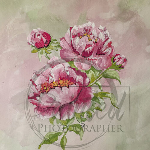 Peony - Connie's Rice Paper