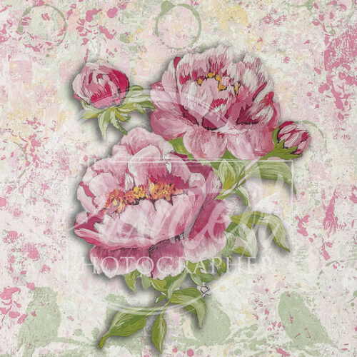 Peony with Pink Background - Connie's Rice Paper
