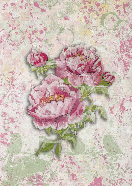 Peony with Pink Background - Connie's Rice Paper