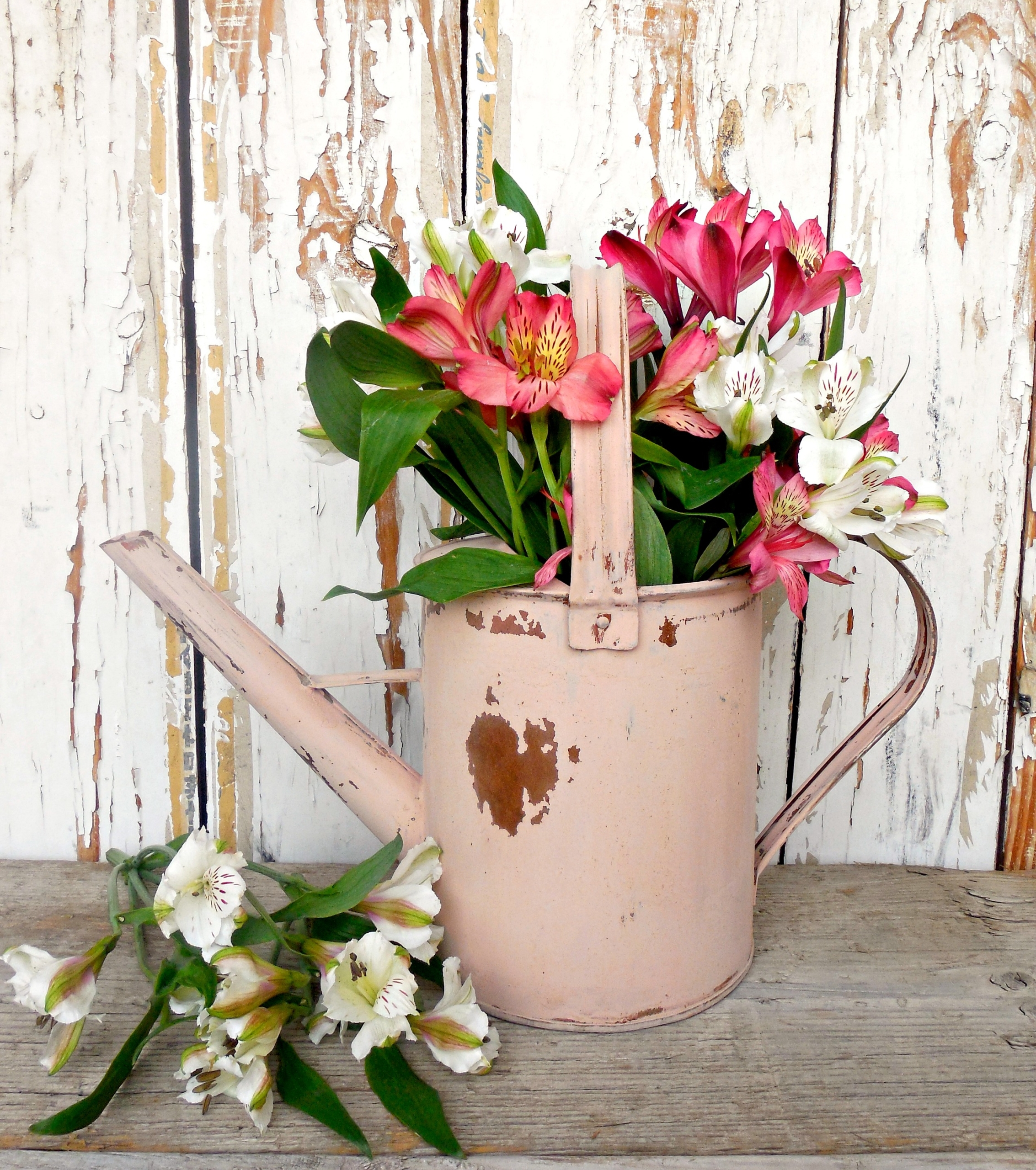 Tickled Pink - Sweet Pickins Milk Paint - Image 4