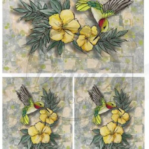 Resilience, Multiple - Connie's Rice Paper