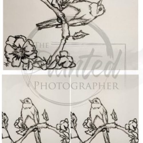 Whispering Spring, No Color Multiple - Connie's Rice Paper