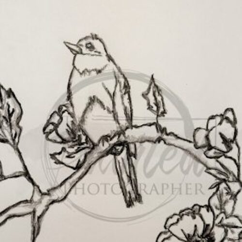 Whispering Spring, No Color - Connie's Rice Paper